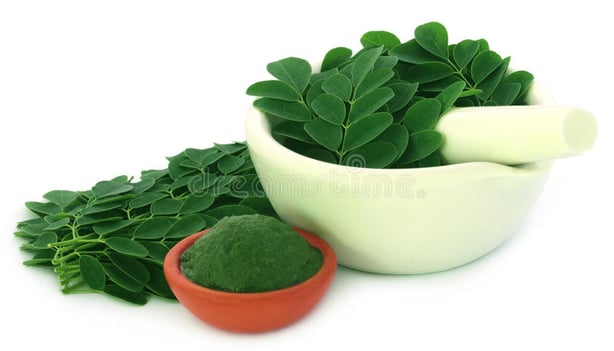 moringa-leaves-mashed-ones-over-white-background-61892616