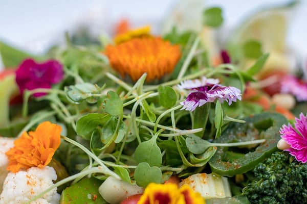 Maple Serrano Vegetable Stir-Fry with Microgreens Maple Serrano Vegetable Stir-Fry with Microgreens