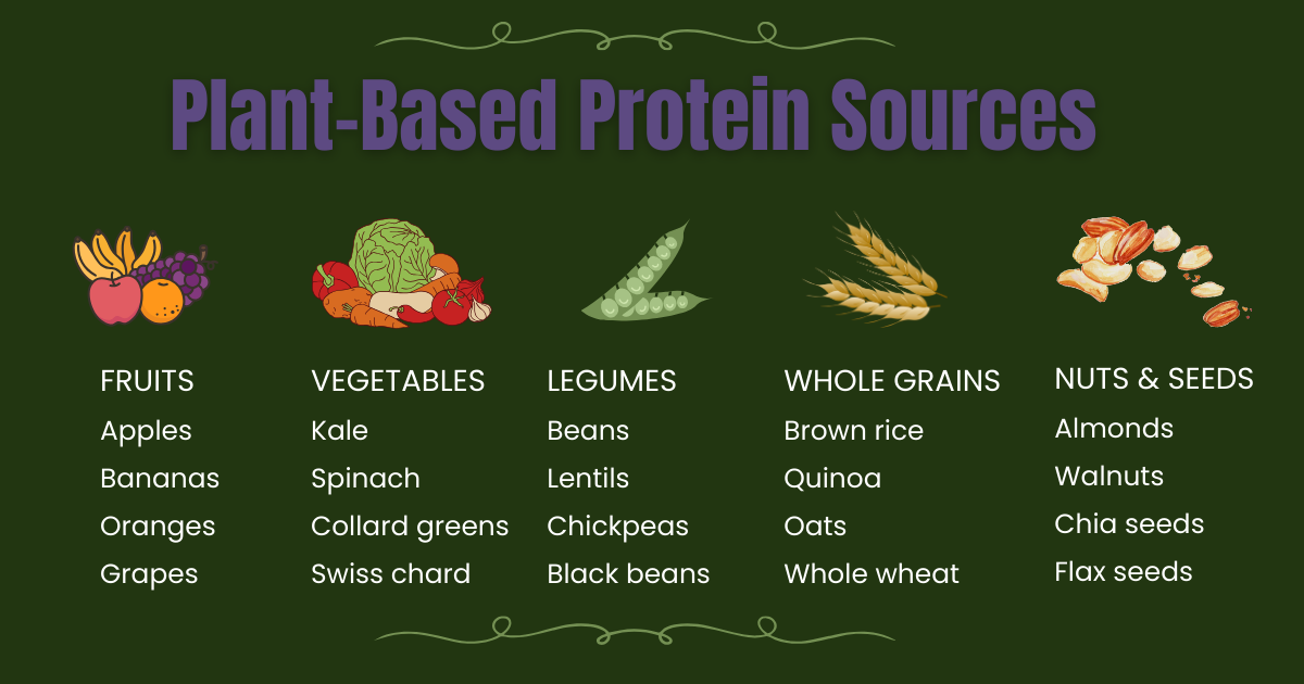 Plant-Based-Protein-Sources