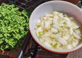 fresh-cucumber-salad-from-garden