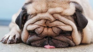 jan17-10-6610701-1200x675-865x487