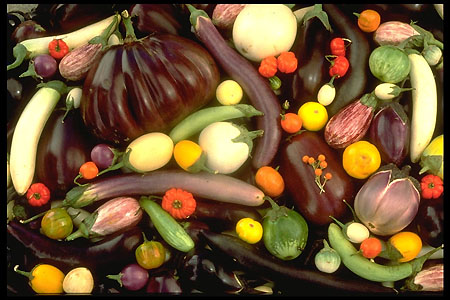 let-food-be-thy-medicine-a-case-of-eggplants