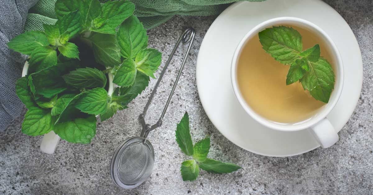 peppermint-tea-benefits-1200x628-facebook-1200x628