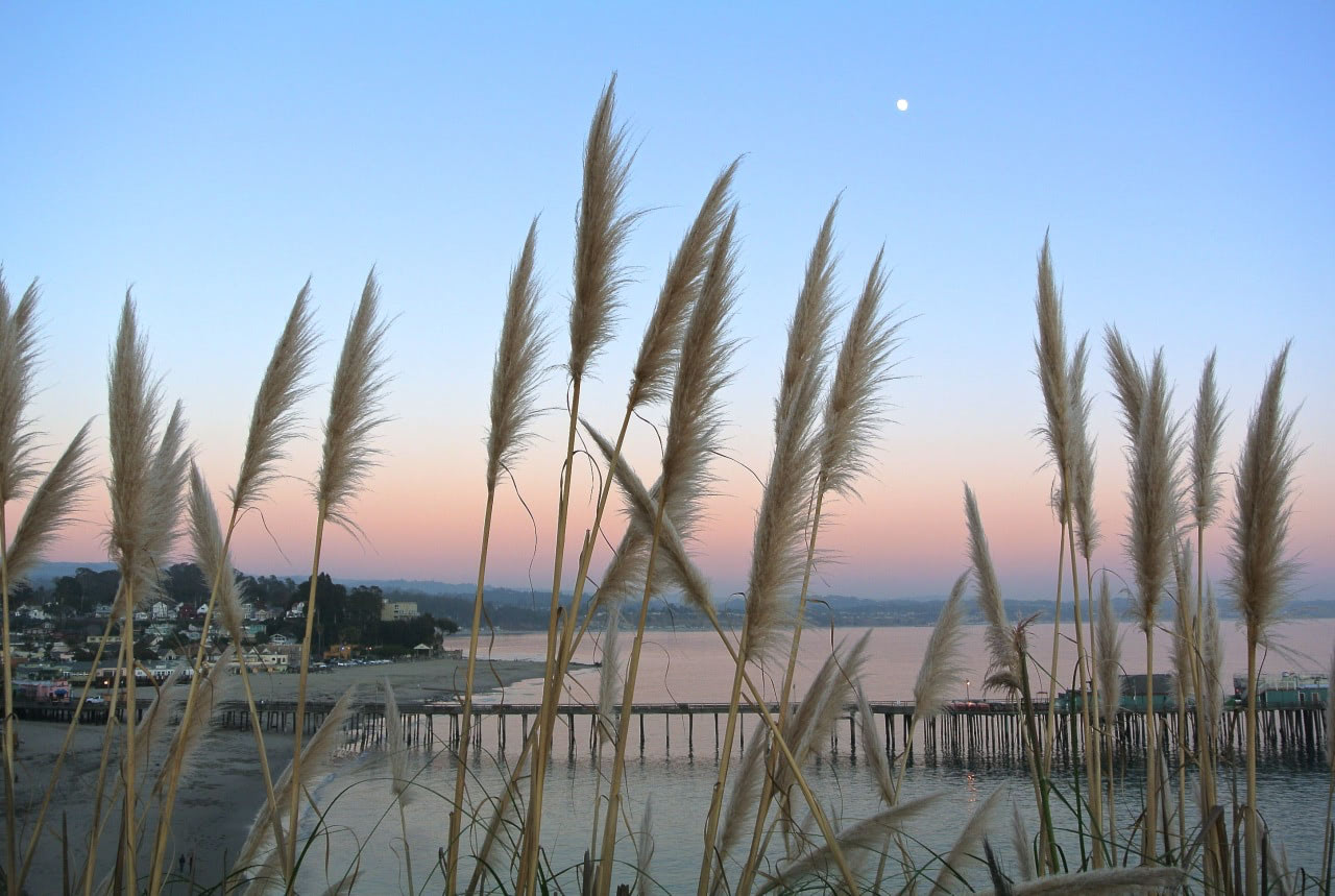 beach sunset